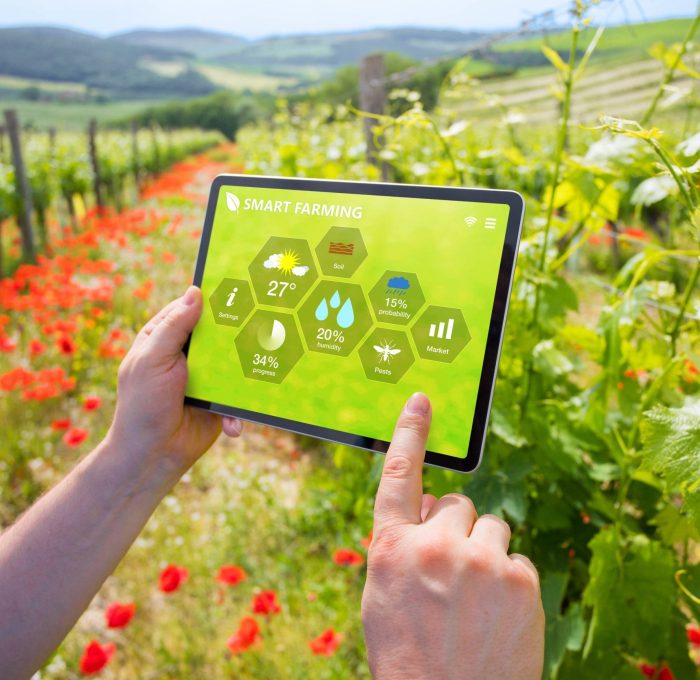 smart irrigation system using IoT sensors in modern agriculture